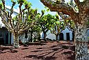 Convento de Sao Francisco